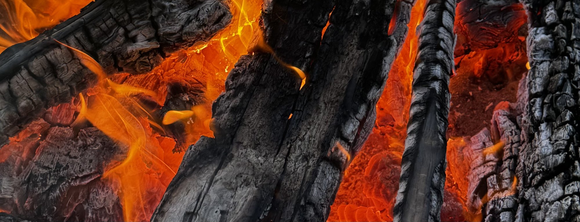 A fire burning down to glowing embers among charred logs
